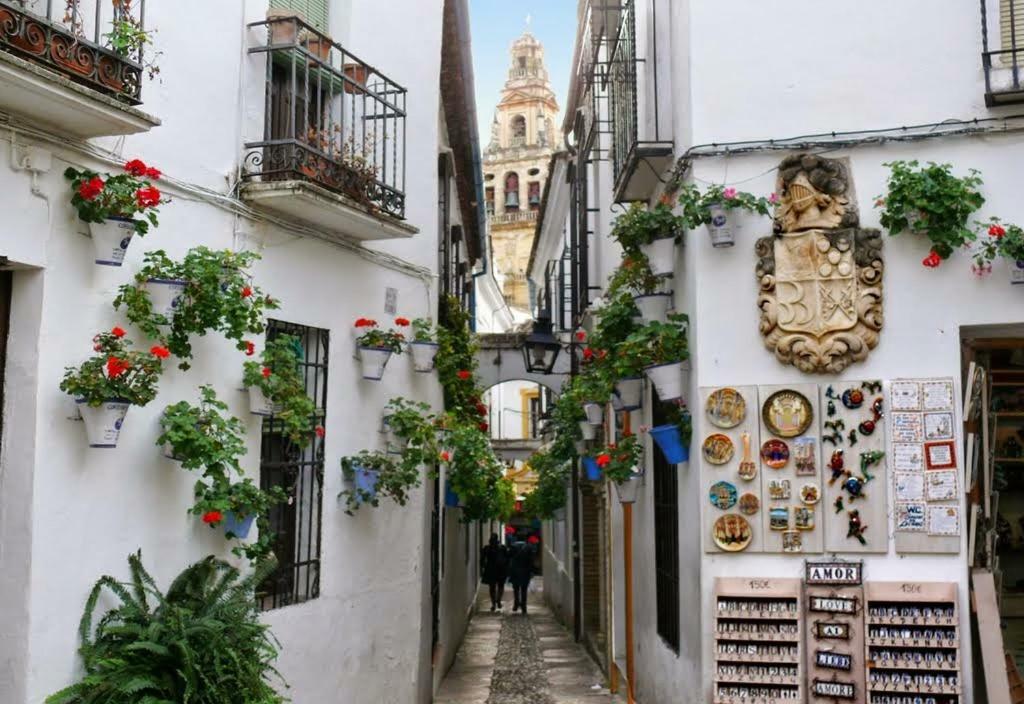 Apartmán La Siesta - En El Corazon De Córdoba Exteriér fotografie